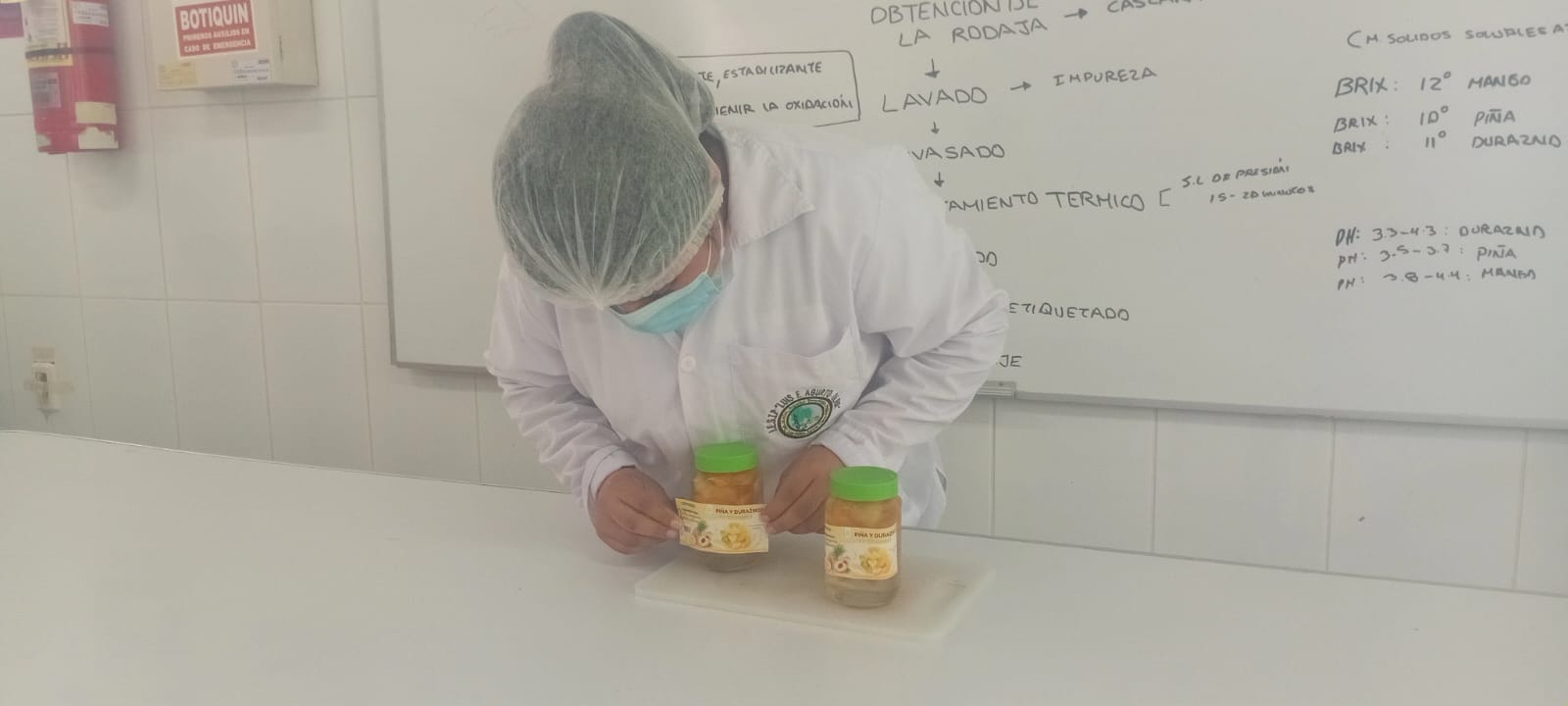 Imagen de galería