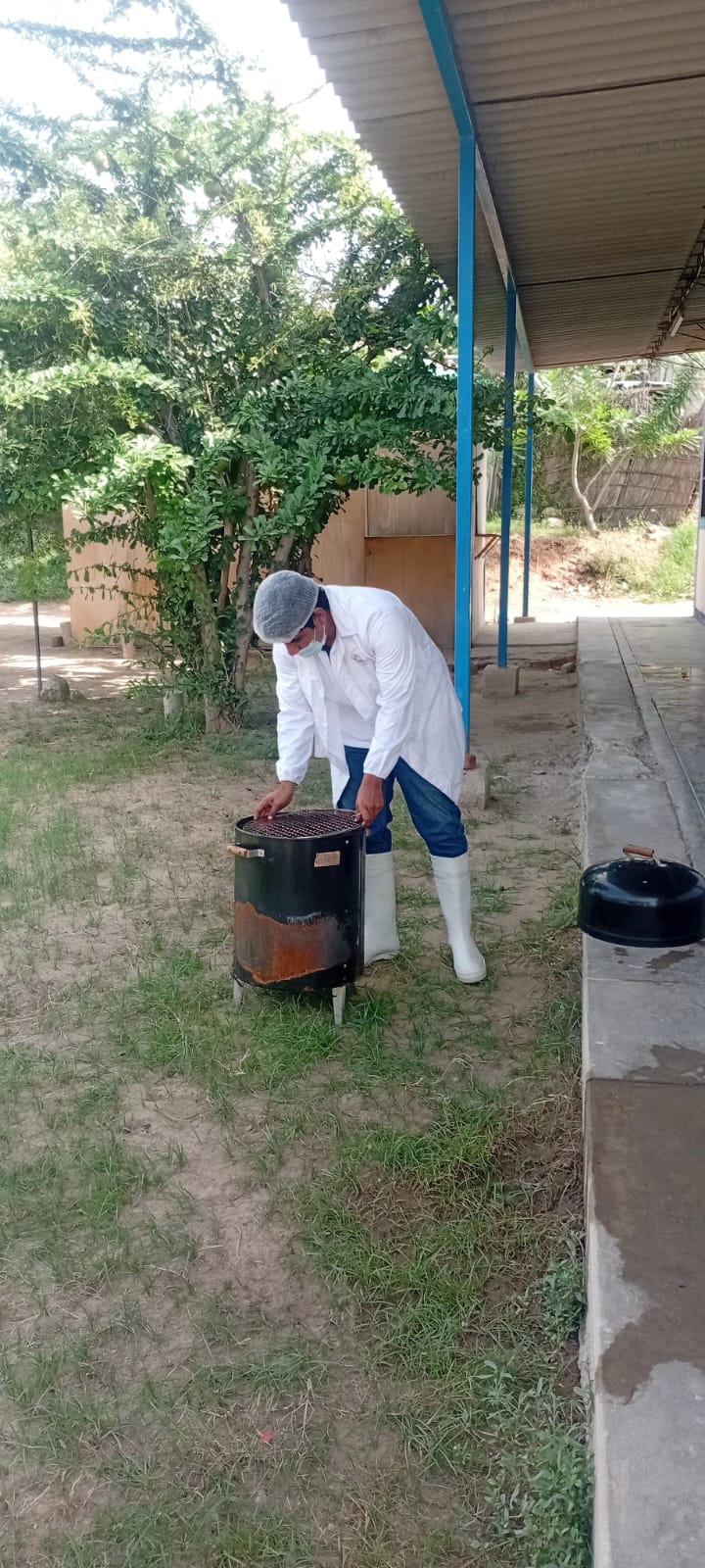 Imagen de galería