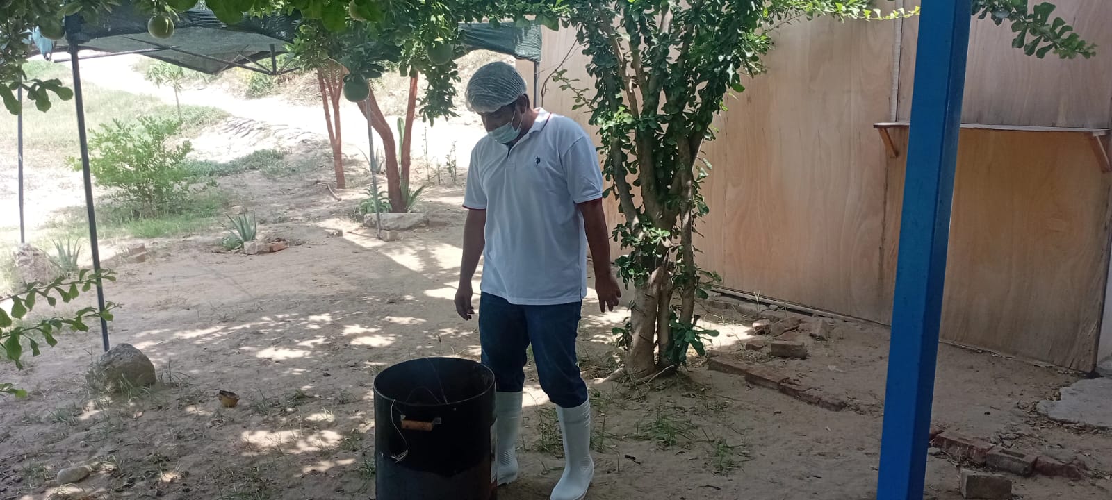 Imagen de galería