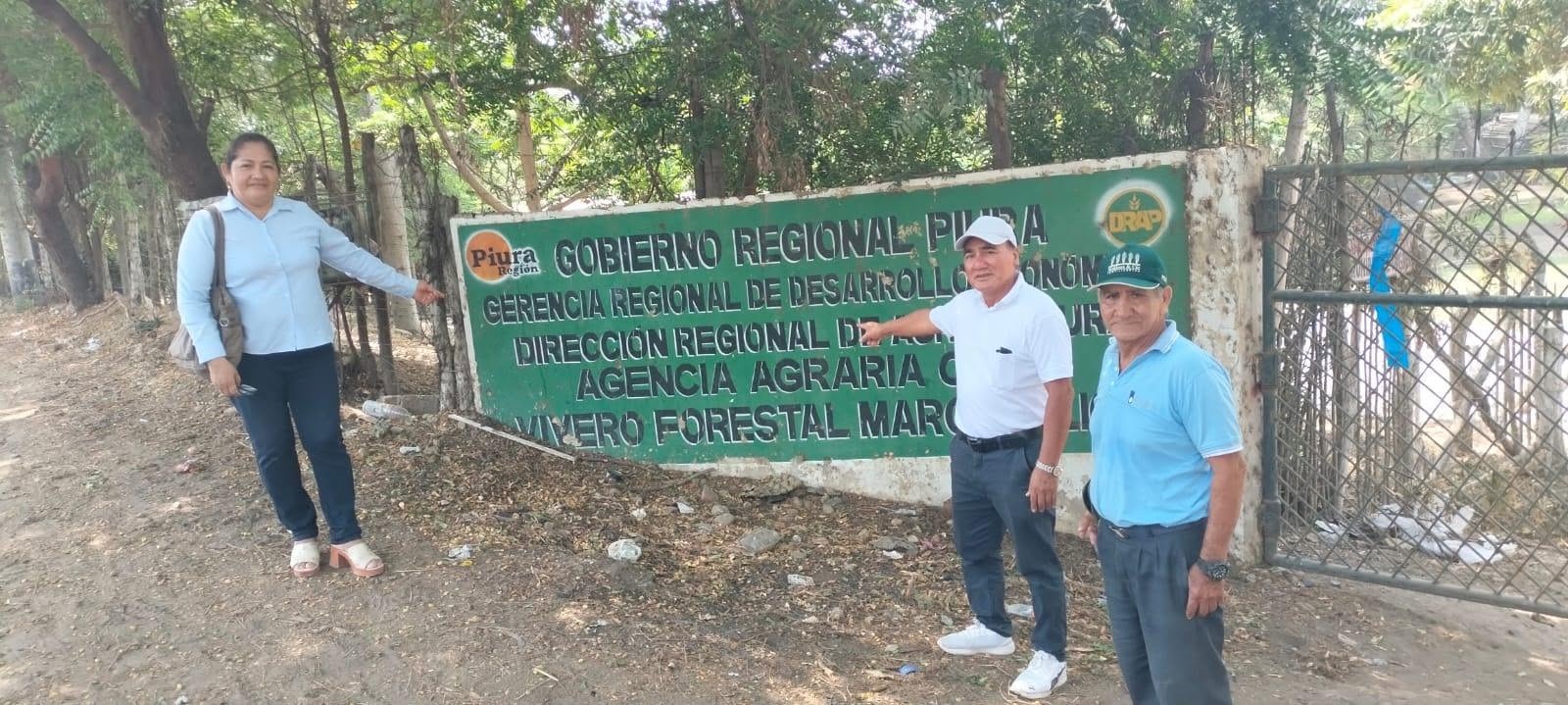 Imagen de galería