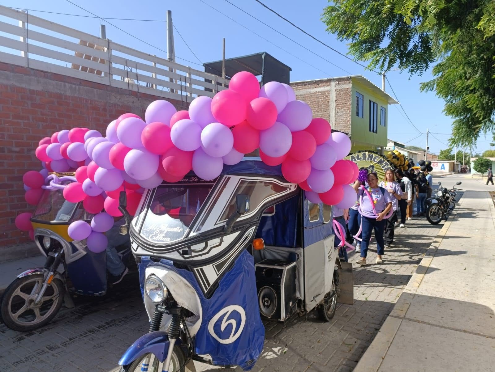 Imagen de galería