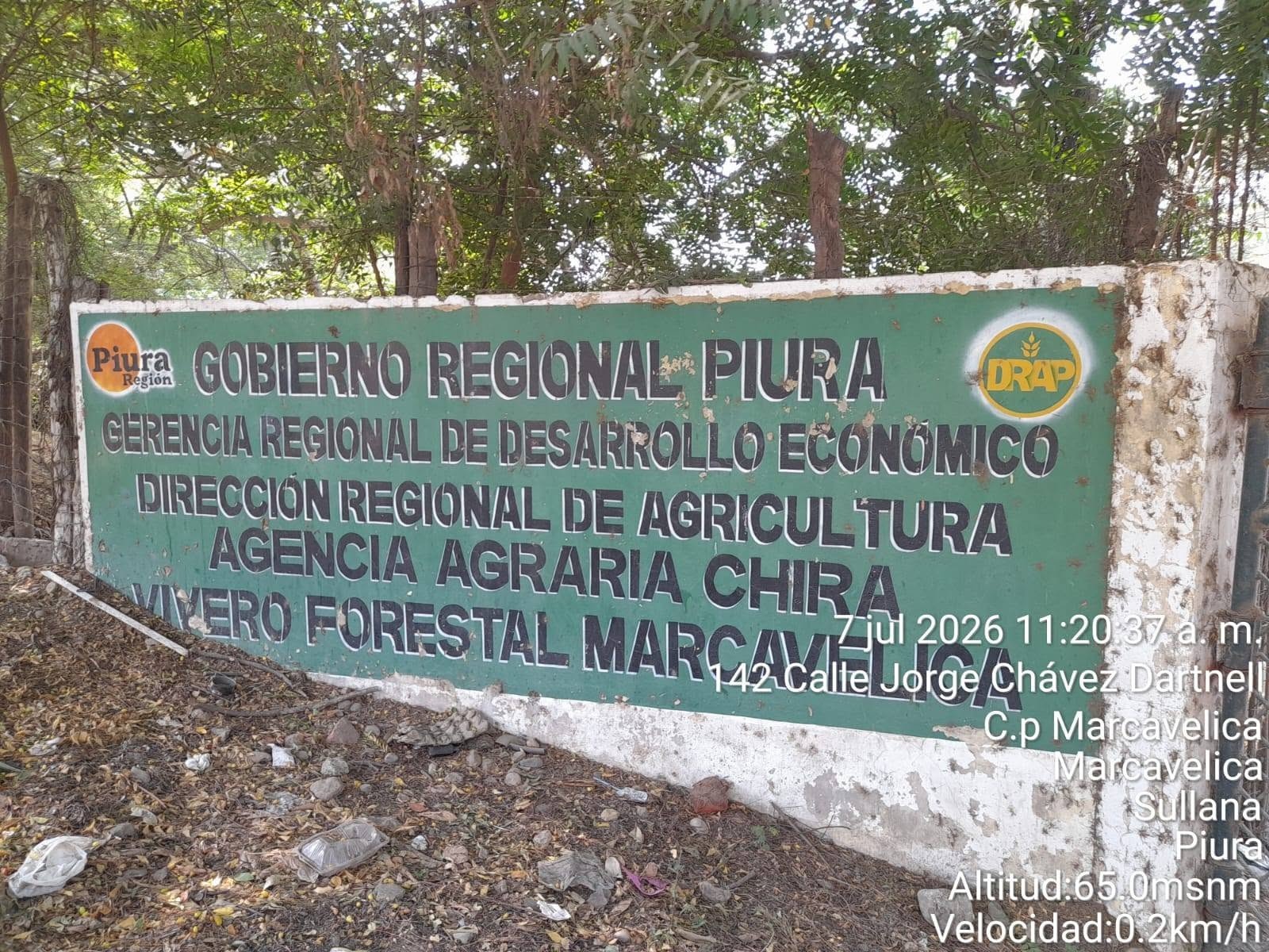 🌳💚 ¡Sembrando Vida! Jornada de Reforestación y Cerco Vivo en el Agurto Olaya